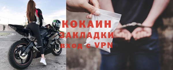 a pvp Пересвет