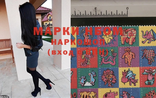 a pvp Пересвет