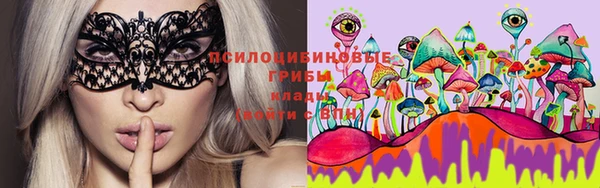 индика Переславль-Залесский