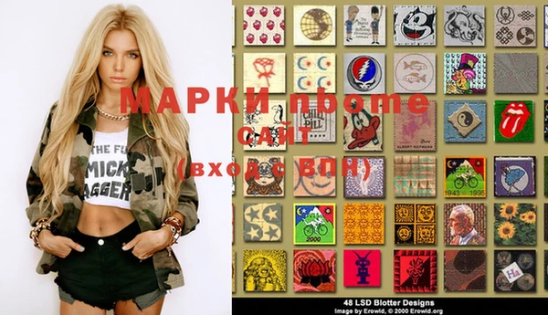 индика Переславль-Залесский