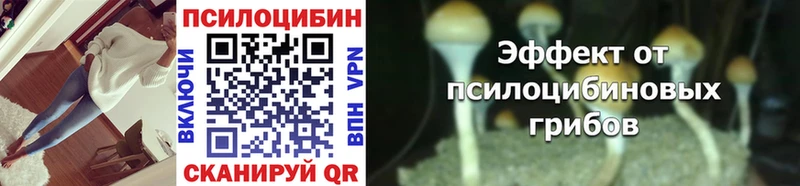 Купить закладки  Волгоград  Галлюциногенные грибы мухоморы 